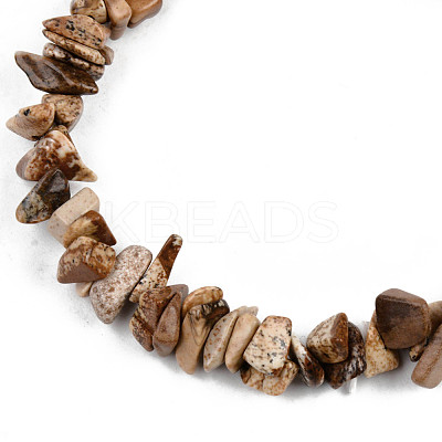 Unisex Chip Natural Picture Jasper Beaded Stretch Bracelets BJEW-S143-29-1