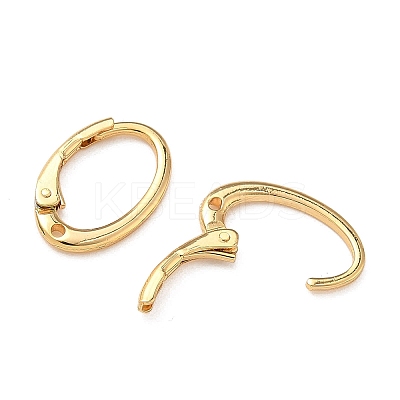 SHEGRACE Brass Leverback Earring Findings XGR0070G-73G-1