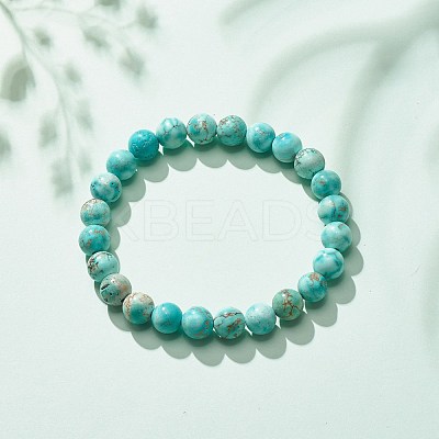 Natural Howlite Round Beaded Stretch Bracelet BJEW-JB08290-03-1