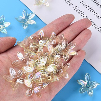 Transparent Acrylic Beads MACR-S373-102-C06-1