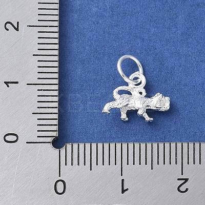 925 Sterling Silver 3D Chinese Zodiac Charms STER-P066-01S-03-1