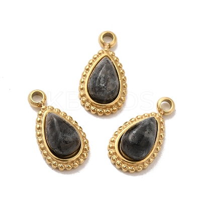 Natural Labradorite Teardrop Charms STAS-B074-04G-03-1