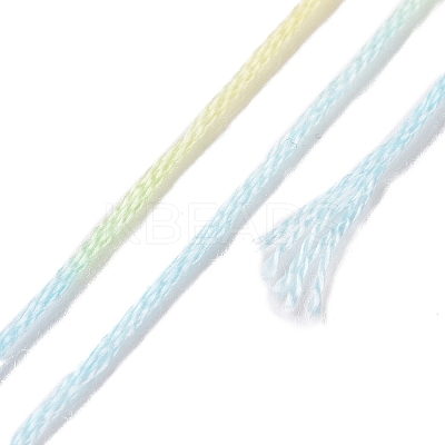 10 Skeins 6-Ply Polyester Embroidery Floss OCOR-K006-A14-1