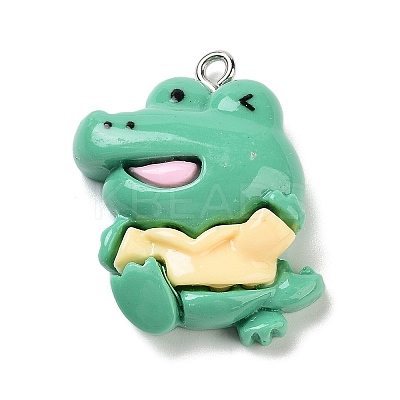 Opaque Resin Pendants RESI-Z028-01B-1