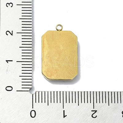 Ion Plating(IP) 304 Stainless Steel Pendants STAS-B058-18G-01-1