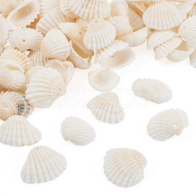 Shell Pendants SSHEL-TA0001-03-1