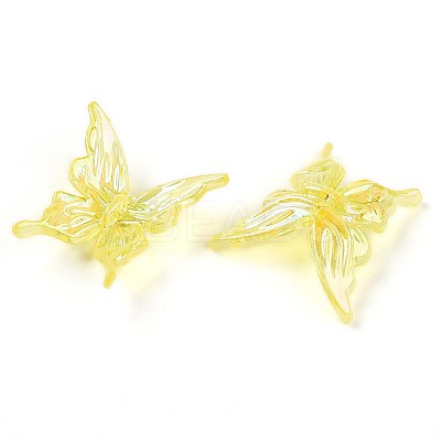 Transparent Acrylic Beads OACR-N137-74B-1