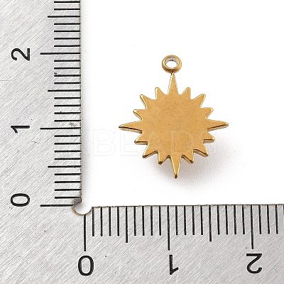 Natural Stone Pendants LS-STAS-D300-02G-06-1