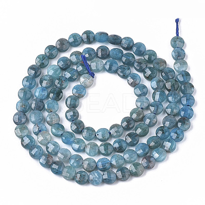 Natural Apatite Beads Strands X-G-S362-011-1