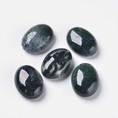 Natural Indian Agate G-F296-09-10x14mm-1