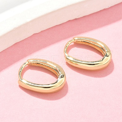 Oval Brass Hoop Earrings EJEW-Z102-33G-1