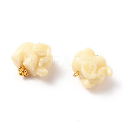 Dyed Synthetic Coral Pendants PALLOY-JF00558-02-1