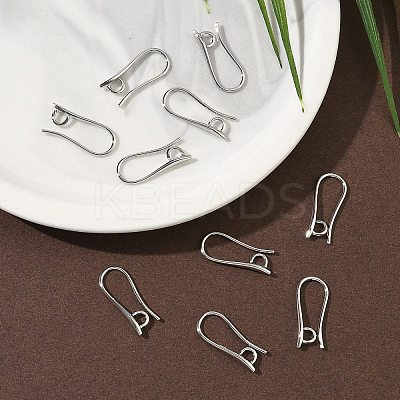 SHEGRACE Brass Earring Hooks XGR0003P-42P-1