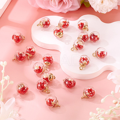 20Pcs Transparent Glass Globe Pendants GLAA-TA0003-57B-1