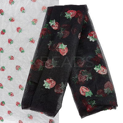 Mesh Embroidered Lace Trim OCOR-WH0073-34B-1