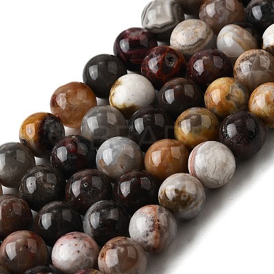 Natural Mexico Crazy Agate Beads Strands G-L615-A01-03-1