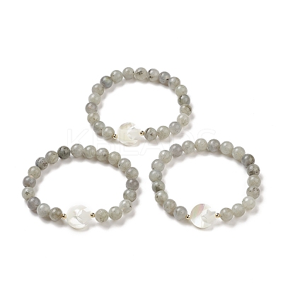 Natural Labradorite & Synthetic Hematite Stretch Bracelet BJEW-M236-01K-1