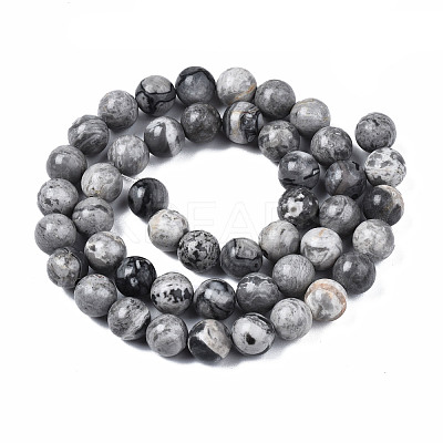 Natural Maifanite/Maifan Stone Beads Strands G-Q462-8mm-21-1