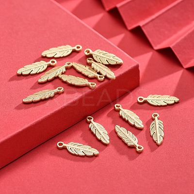 Tibetan Style Alloy Charms X-TIBEP-S317-10MG-NR-1