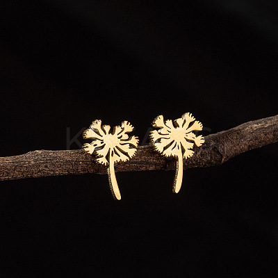 201 Stainless Steel Stud Earrings FS-WG9DC15-01-1