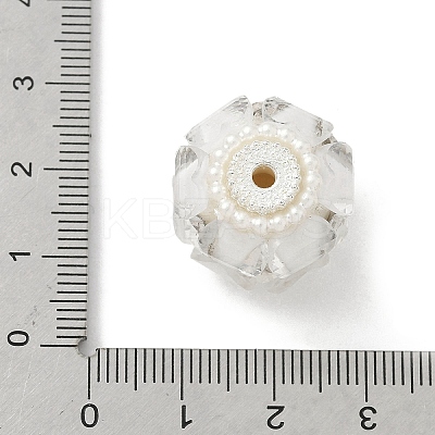 Transparent Acrylic Beads CLAY-NH0003-04S-1