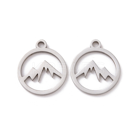 Non-Tarnish 201 Stainless Steel Charms STAS-G281-01P-02-1