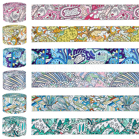 6Pcs 6 Colors Polyester Ribbons OCOR-FH0001-48A-1
