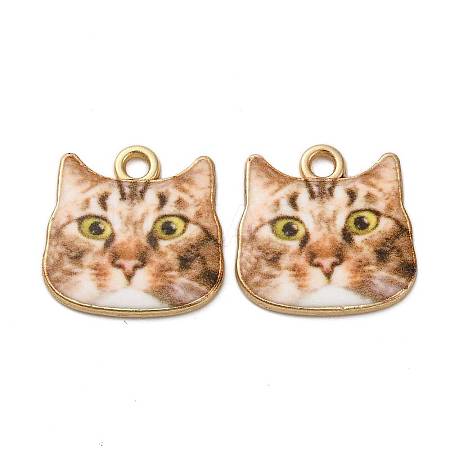 Alloy Enamel Pendants ENAM-V002-04G-01-1