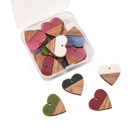 Resin & Wood Pendants RESI-CJ0001-17-1