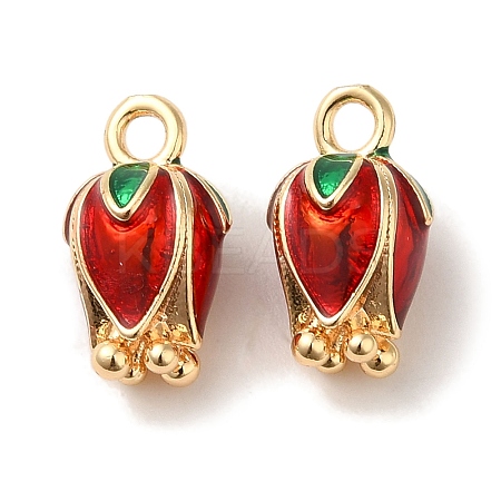 Brass Enamel Charms KK-S368-12G-1