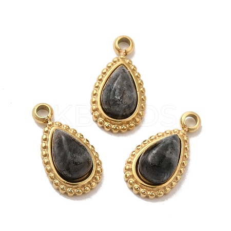 Natural Labradorite Teardrop Charms STAS-B074-04G-03-1