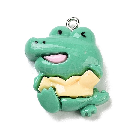 Opaque Resin Pendants RESI-Z028-01B-1