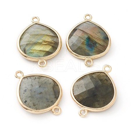 Labradorite Links Connectors LS-G-B009-17G-1