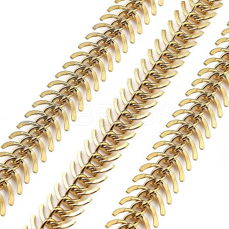 304 Stainless Steel Fishbone Chains STAS-NH0001-03G-1