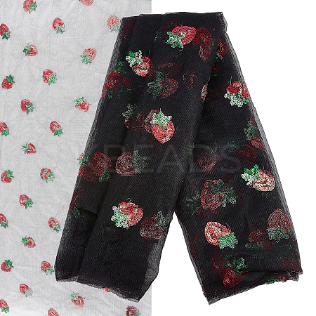Mesh Embroidered Lace Trim OCOR-WH0073-34B-1