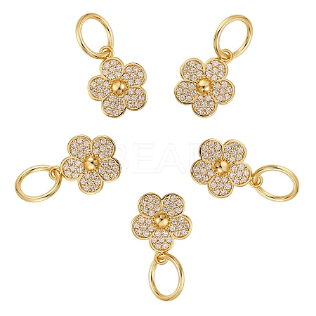 5Pcs Brass Micro Pave Clear Cubic Zirconia Charms ZIRC-SZ0001-99-1