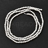 Electroplated Shell Pearl Beads Strands BSHE-K017-2mm-2