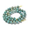 Natural Howlite Beads Strands G-E604-D01-A-4