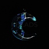 Luminous Transparent Resin Pendants RESI-WH0081-01D-3