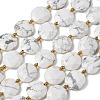 Natural Howlite Beads Strands G-A292-A03-01-3