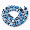 Dyed Natural Fire Crackle Agate Beads Strands G-T098-02B-04-2