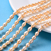Natural Cultured Freshwater Pearl Beads Strands PEAR-T001-06B-1