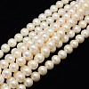 Natural Cultured Freshwater Pearl Beads Strands PEAR-L001-H-13-1