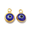 Ion Plating(IP) 304 Stainless Steel with Glass Enamel Charms STAS-G305-10G-06-1