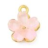 Alloy Glass Charms FIND-C079-05G-2