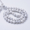 Natural Howlite Beads Strands LS-G-T055-6mm-02-2