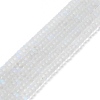 Frosted Transparent Glass Beads Strands FGLA-M002-01I-2