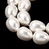 Electroplated Shell Pearl Beads Strands BSHE-B008-04-3