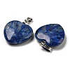 Natural Sodalite Pendants G-G956-B72-FF-2