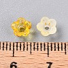 Frosted Transparent Acrylic Beads OACR-N137-72G-4